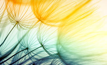 Zahnarzt, Praxis, Dr. Valeska Guth, Achern, Renchen, Appenweier, Rheinau, Önsbach, Mösbach, Sasbach, Fautenbach